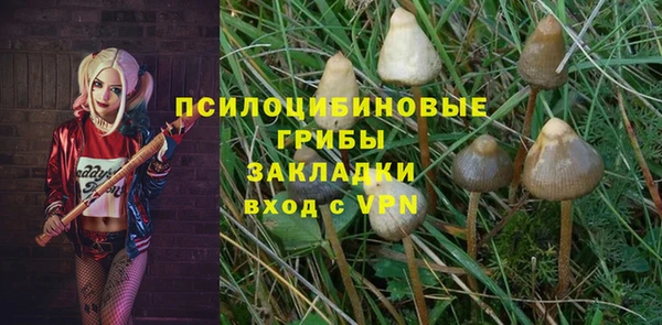 2c-b Осинники