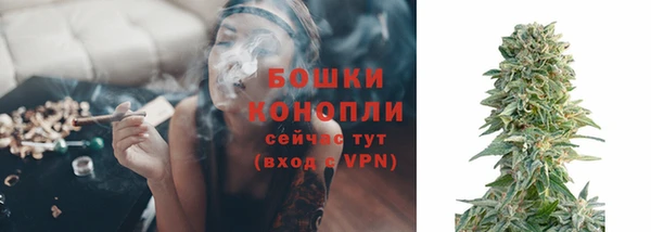 прущие грибы Балахна