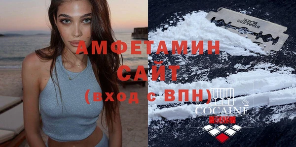 прущие грибы Балахна