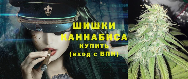 PSILOCYBIN Баксан