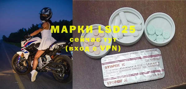 прущие грибы Балахна